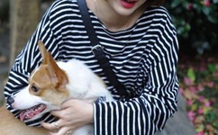 北京春晚吴秀波